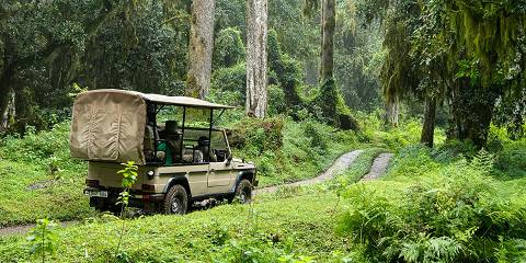 Safari, Culture, Walking Safari and Biking