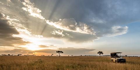 Big Five Serengeti Safari
