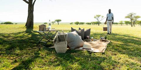 Tanzania Luxury Safari from and to Zanzibar
