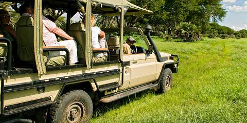 9-Day Photographic Safari Experience