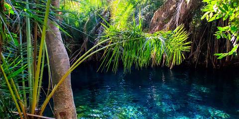 Chemka Hotsprings
