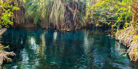 1-Day Coffee Tour|Hotsprings and Materuni Waterfalls
