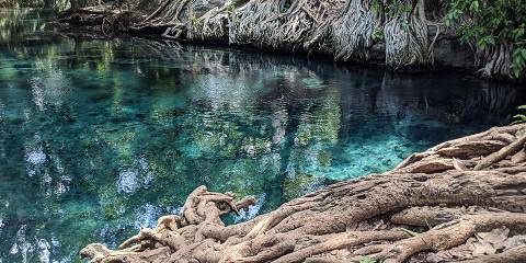 1-Day Materuni Waterfalls, Coffee & Kikuletwa Hotsprings
