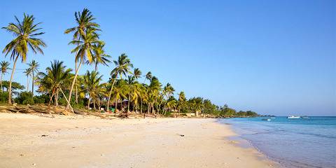10-Day Beach Bliss & Safari Thrills - Exclusive