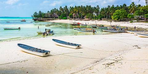 Prison Island Tour & Nakupenda Sand Bank