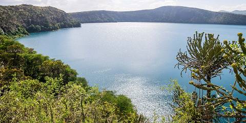 Coffee, Materuni Waterfall, & Local Cuisine Tour