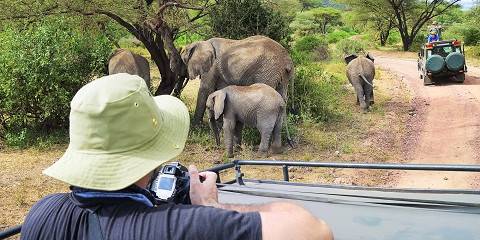 4-Day Fly in Serengeti, Ngorongoro Crater and Tarangire
