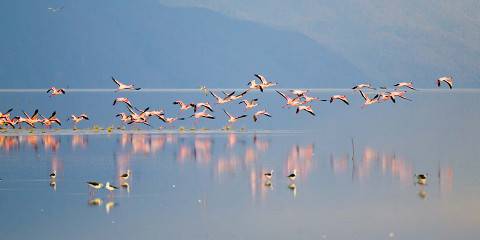 4-Day Lake Manyara, Serengeti & Ngorongoro Safari Elite