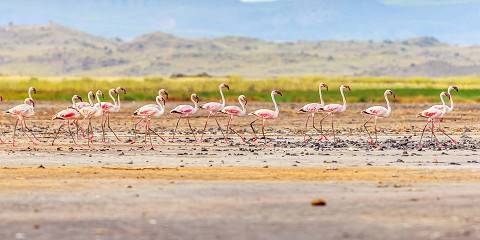 7-Day Northern Wilderness & Natron's Splendor