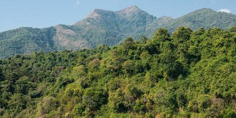 6-Day Mahale Chimpanzee Tracking & Nkungwe Summit Trek