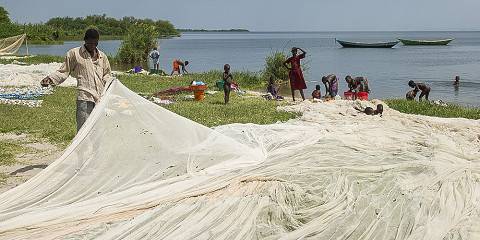 Relaxing Ssese Island Tour