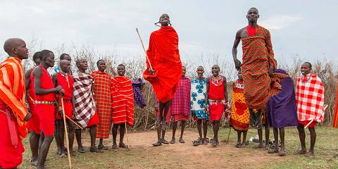 6-Day Incredible Wildlife and Cultural Experience Tour