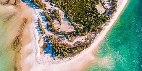 Comfort Wildlife and Zanzibar Beach Safari