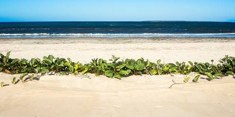 9-Day Tanzania Uncovered - Selous Ruaha & Mafia Island