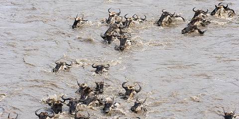 10-Day Adventure Safari in Tanzania and Rwanda