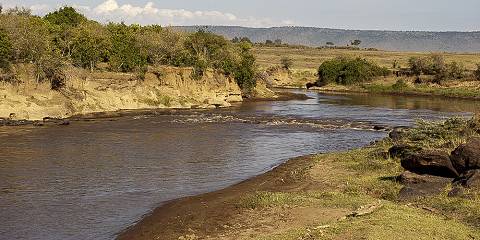 4-Day Masai Mara & Lake Naivasha Safari Tour