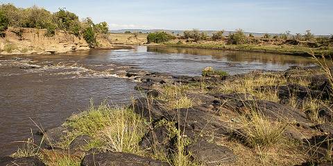 6-Day Exquisite Safari in Sopa Lodges