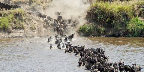 5-Day Midrange Group Tour with Two Nights in Serengeti