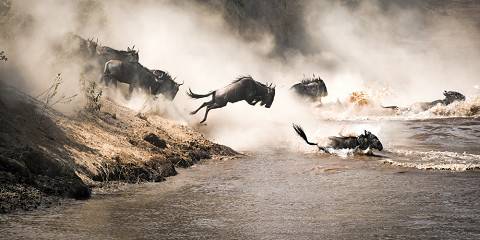 5-Day Serengeti Explorer Wildebeest Migration & Big Five