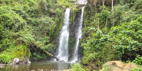Materuni Waterfalls, Coffee Tour & Kikuletwa Hot