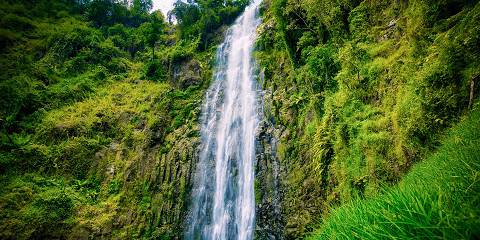 Cultural Coffee Tour and Materuni Waterfall