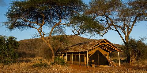 1-Day Mkomazi National Park Day Tour from Moshi