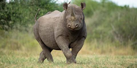 Materuni Experience & Mkomazi Rhino Explorations