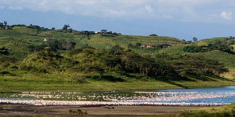 4-Day Wildlife and Cultural Immersion Experience