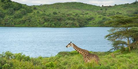 Classic Wildlife & Cultural Experience Safari