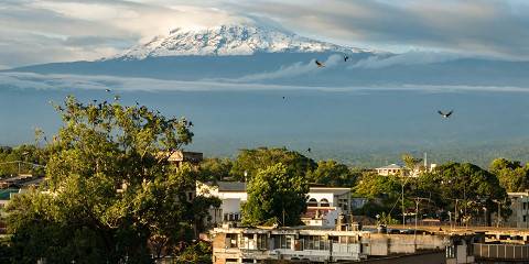 Kilimanjaro Shira Route Trek to Uhuru Park