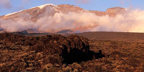 Kilimanjaro – Mandara Hut