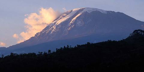 6-Day Wild Safari & Kilimanjaro Experience