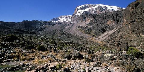 Rongai Route Kilimanjaro Trek