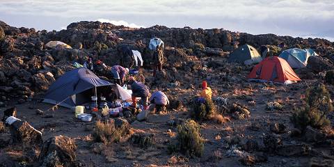Mount Kilimanjaro Hike from Arusha/Moshi