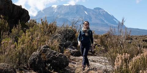 1-Day Kilimanjaro Hike to Shira Plateau
