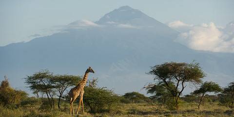 Arusha City Tour