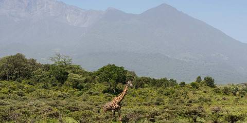 3-Day Mount Meru Trekking Private Safari from Arusha