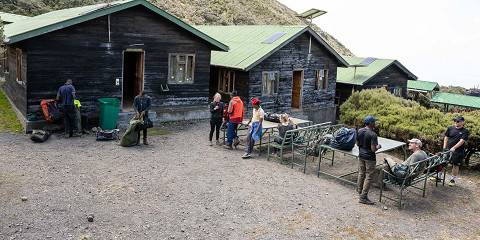1-Day Trip Kilimanjaro Shira Plateau from Arusha/Moshi