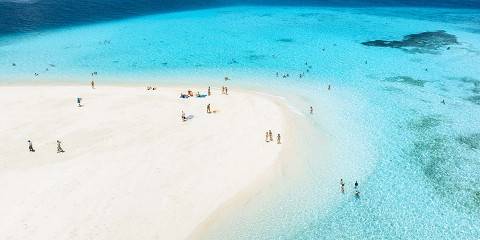 8-Day Tanzania Wildlife Safari & Zanzibar Beach Holiday