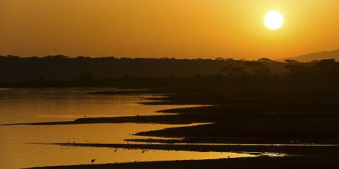 Calving Season Safari (Ndutu, Crater & Tarangire)