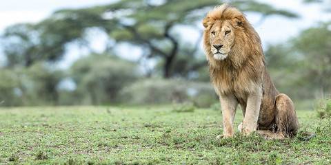 4-Day Calving Season & Unforgettable Wildlife Experience