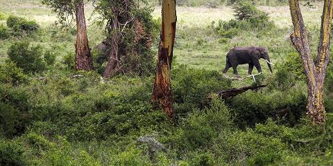 3-Day Safari Serengeti and Ngorongoro Crater