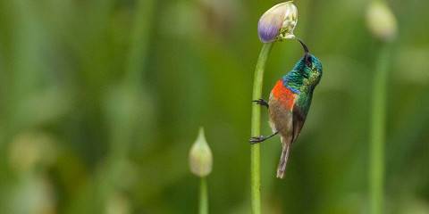 4-Day Materun Waterfall, Arusha Park & Ngorongoro Crater