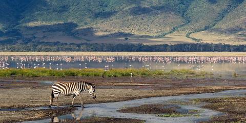 Epic Budget Wildlife Safari from Dar Es Salaam