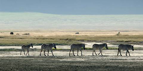 Wildlife & Cultural Experiences Safari in Tanzania