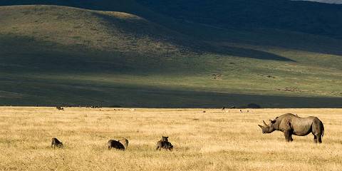5-Day Tanzania Budget Camping Tour