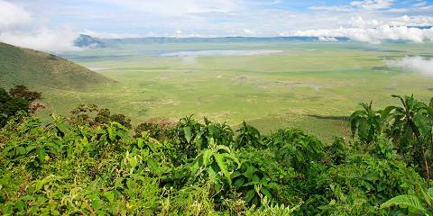 3-Day Hadzabe, Masai & Ngorongoro Crater Tanzania Safari