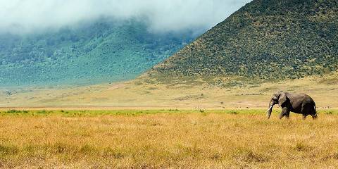 4-Day Tarangire, Ngorongoro, Lake Manyara Arusha Park