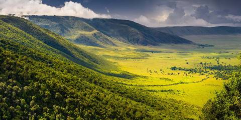 7-Day Tarangire, Serengeti, Ngorongoro and Amboseli
