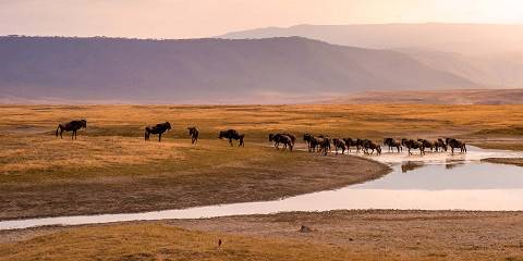 4-Day Tarangire, Crater & African Culture Highlights